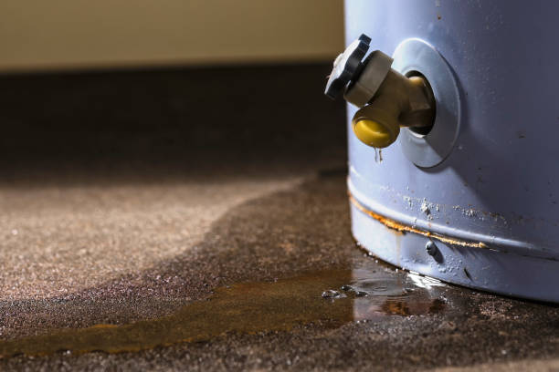Best Water damage restoration cost  in Summit, IL