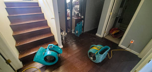 Best Sewage cleanup and water damage restoration  in Summit, IL