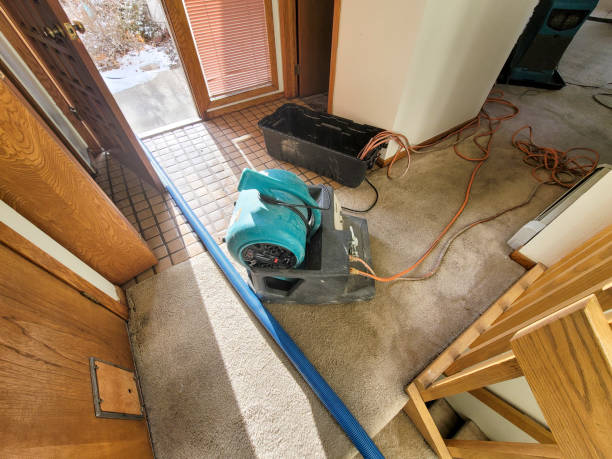 Best Water damage restoration near me  in Summit, IL