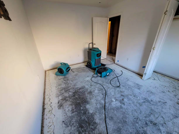 Trusted Summit, IL Water damage restoration Experts