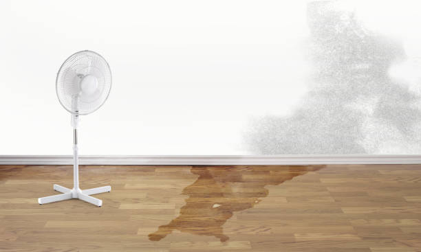 Best Local water damage restoration  in Summit, IL
