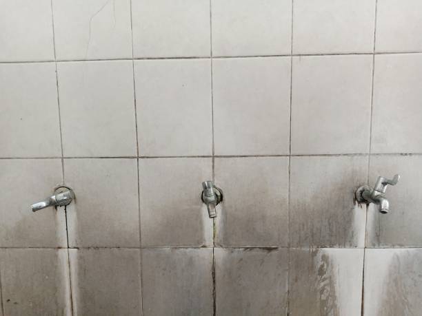 Best Water damage restoration near me  in Summit, IL