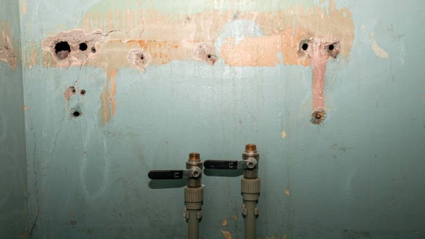 Best Carpet water damage restoration  in Summit, IL