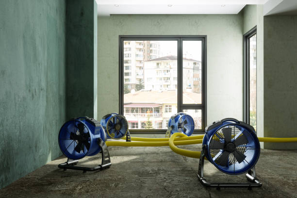 Best Fire Damage Restoration  in Summit, IL